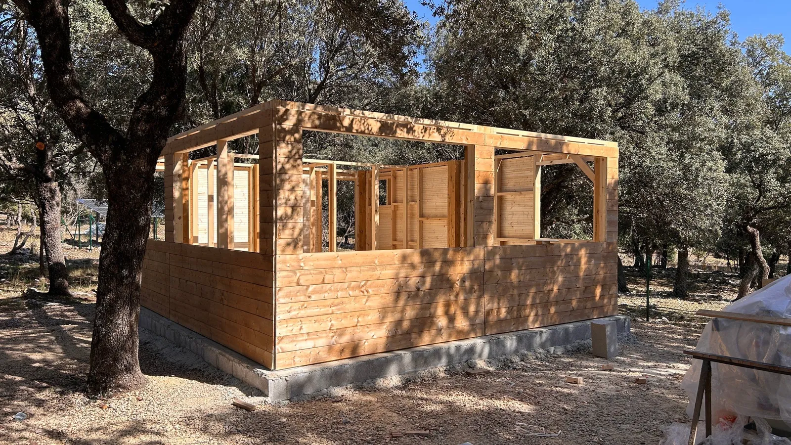 Estructura de madera en construcción con muros de tablas, entre encinas